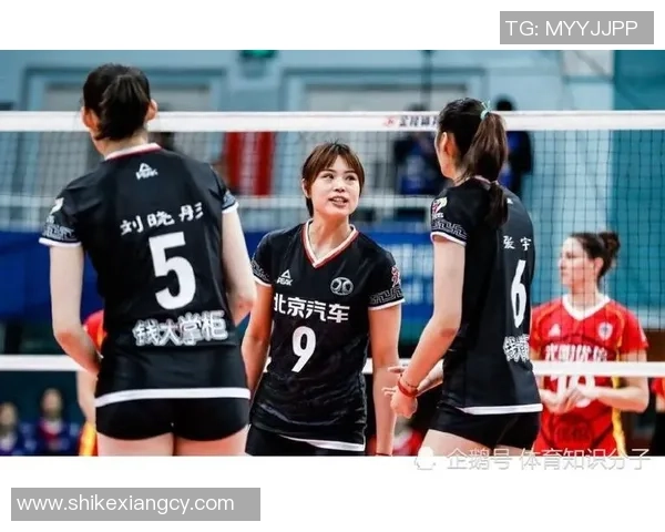 杭州排球队攻防新策略全面解析助力球队崛起的秘密武器