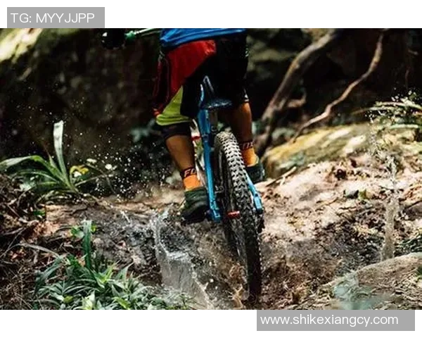 杭州极限运动队耐力之争引发广泛热议与关注 杭州极限运动队耐力之争引发广泛热议与关注