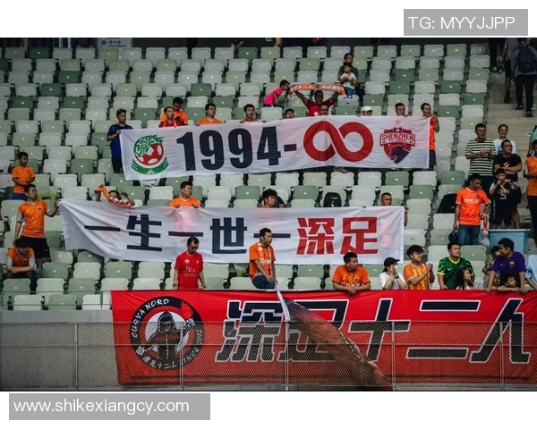 深圳足球队防守表现分析：优劣势与未来改进方向探讨