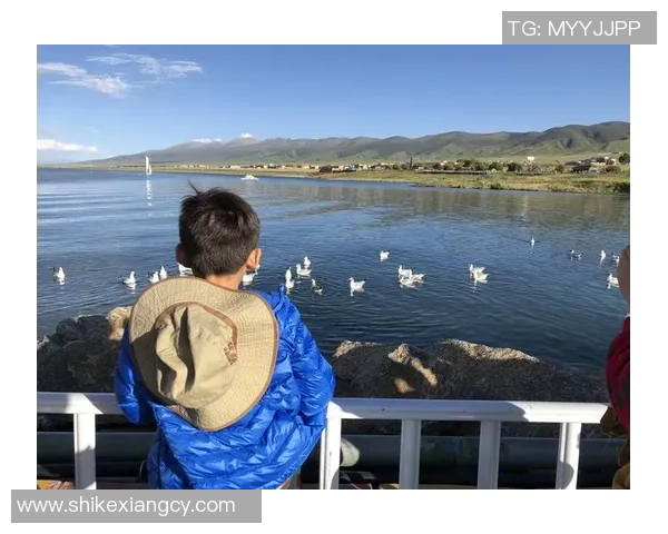 重庆排球队区域防守创新之路探索与实践分析 重庆排球队区域防守创新之路探索与实践分析