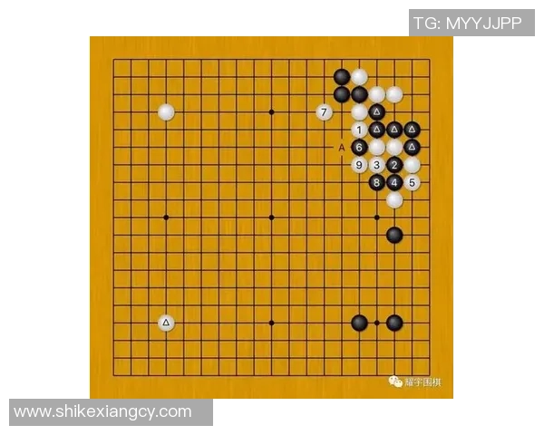 李静深度解析排球技巧与心得分享助你提升竞技水平